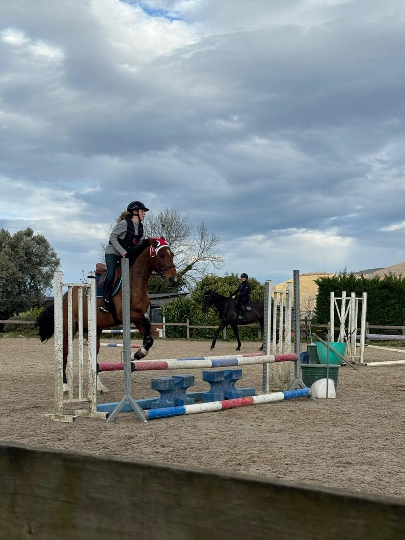 Saut d'obstacle