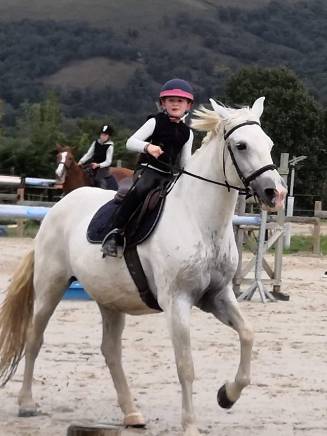 Anaë au galop, les collines du Béarn en arrière-plan