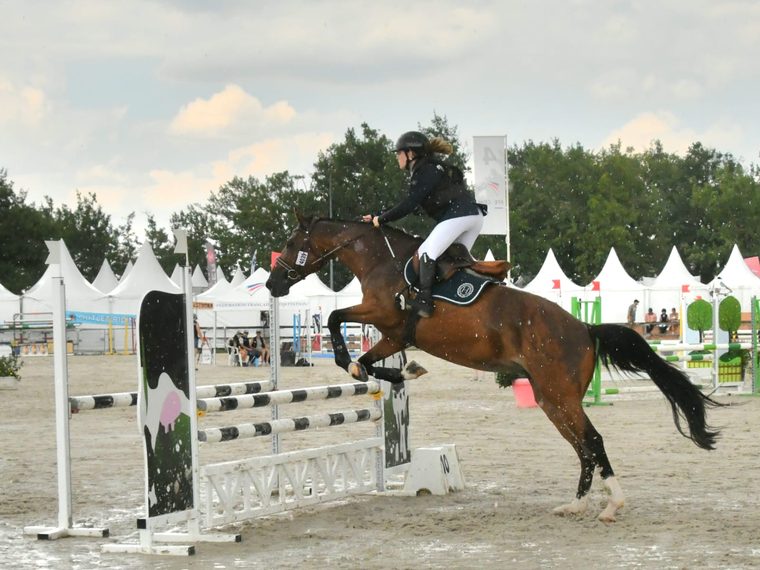 Parcours de concours