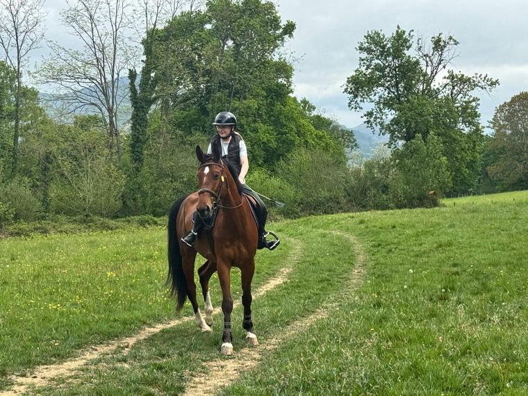 Anaë au galop en pleine nature
